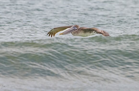 FtDesoto20240111_2207-Edit