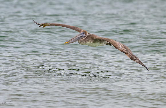 FtDesoto20240111_2220