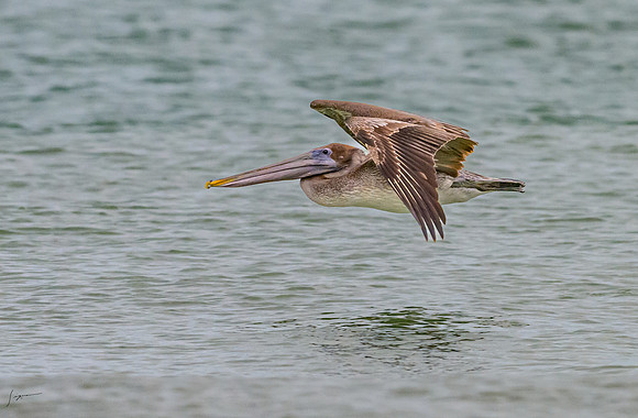FtDesoto20240111_2247