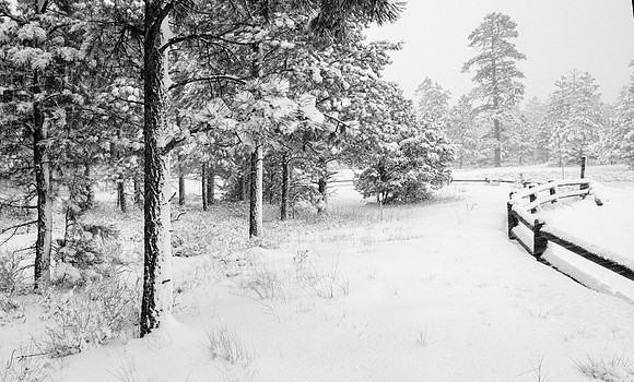 _Z8C5852_0017-Edit