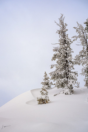 _Z8C6269_0049