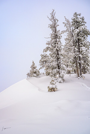 _Z8C6370_0150
