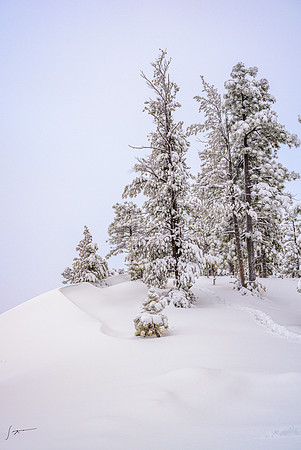 _Z8C6372_0152