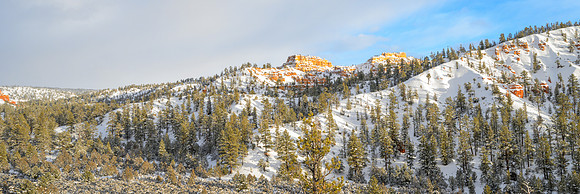 _Z8C7281_0317