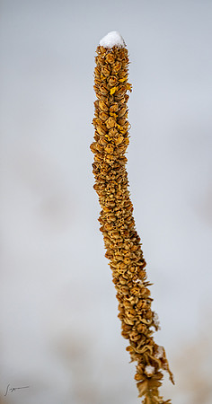 _Z8C7021_0057