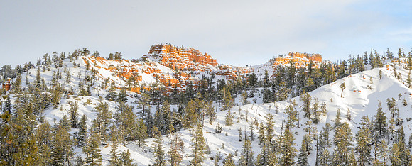 _Z8C7180_0216