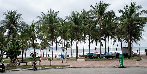 20250211DaNangVietnam_1084