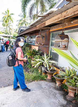 20250203KohSamuiThailand_0192