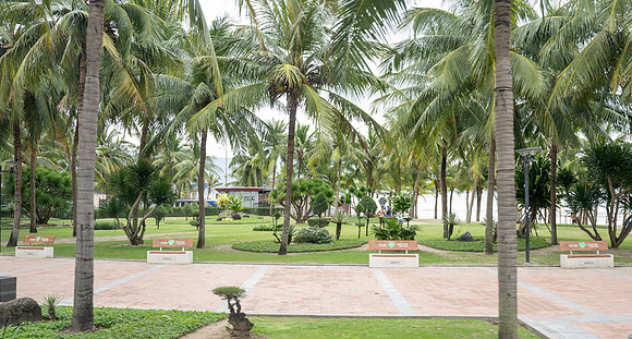 20250211DaNangVietnam_1098