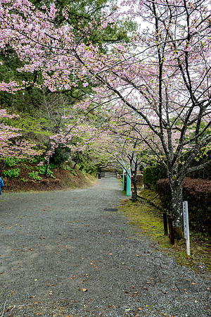 20250304AburatsuJapan_0141
