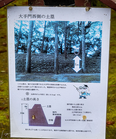 20250304AburatsuJapan_0133