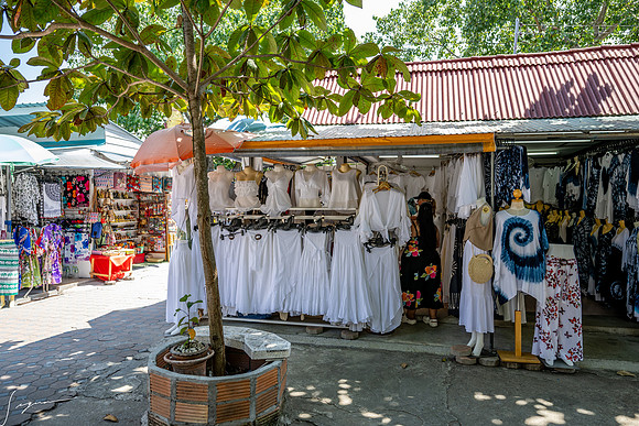 20250203KohSamuiThailand_0363