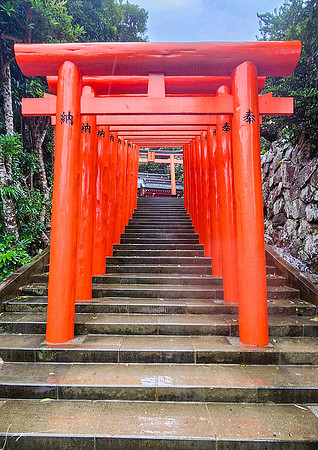 20250304AburatsuJapan_0779