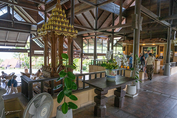 20250203KohSamuiThailand_0415