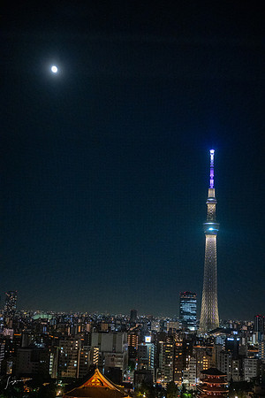 20240920-21Yokahama_0215
