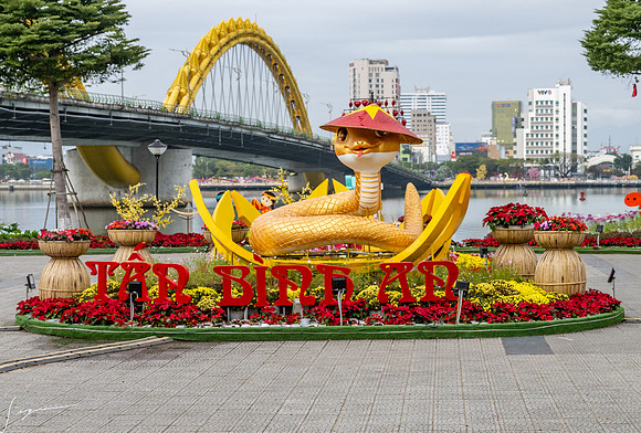 20250211DaNangVietnam_0066