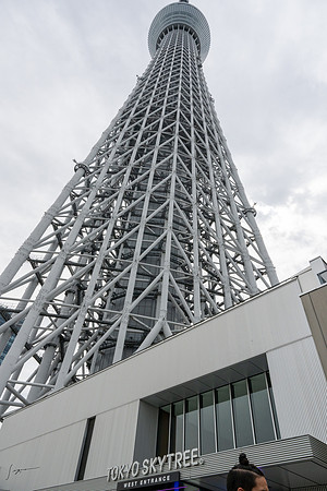 20240920-21Yokahama_1519