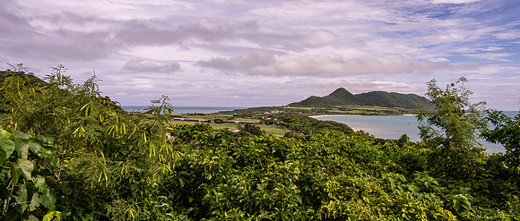 20241004Ishigaki_0054