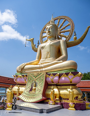 20250203KohSamuiThailand_0297