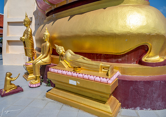 20250203KohSamuiThailand_0323