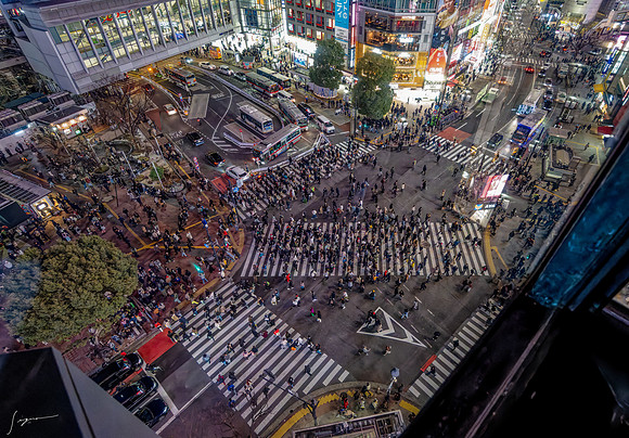 20250317Tokyo_0112_DxO