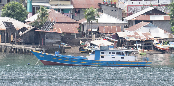 20250109Bitung,Sulawesi,Indonesia_0274