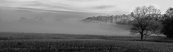 Cades Cove Great Smokey Mountains TN
