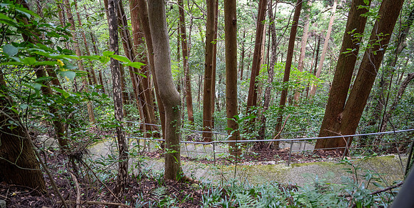 20240925Kochi_0290