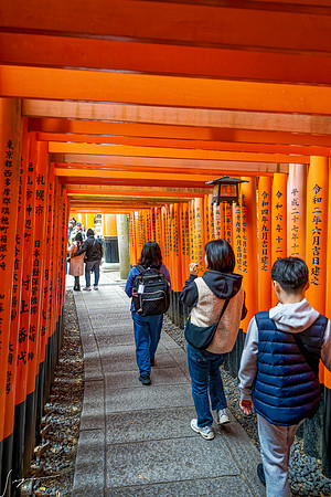 20250228OsakaJapan_0117_DxO