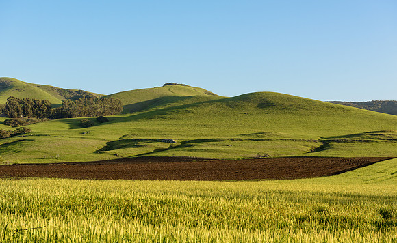 Los Osos CA