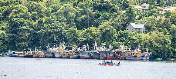 20250109Bitung,Sulawesi,Indonesia_0315