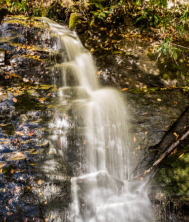 JuneyWhankFallsDeepCreekTrailNC20151020_0044