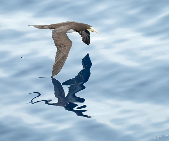 20250108SeaDay_3373-Edit