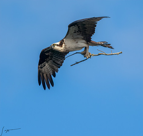 BlueCypressLake20190411_0360-Edit