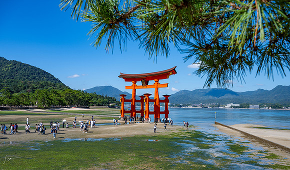 20240926Hiroshima_0154 - Copy