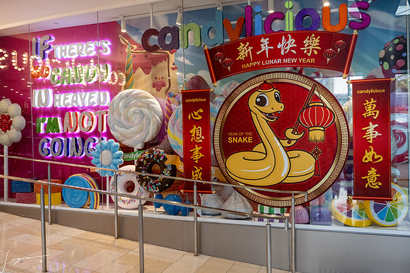20250216HongKong_0183