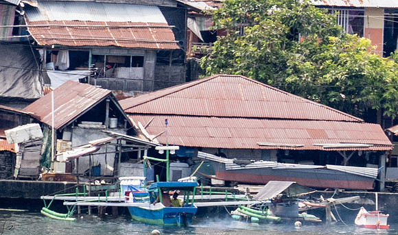 20250109Bitung,Sulawesi,Indonesia_0264