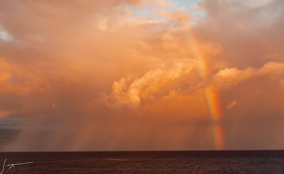 Kona20191107_0069