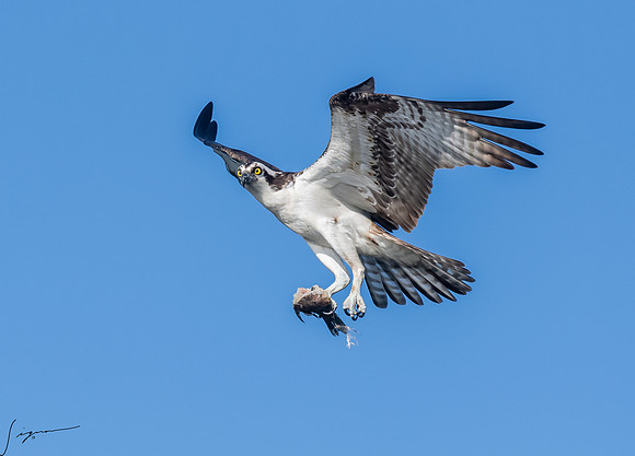 BlueCypressLake20190412_0939