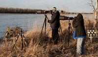 Sandhill Cranes Grand Island NE 2018