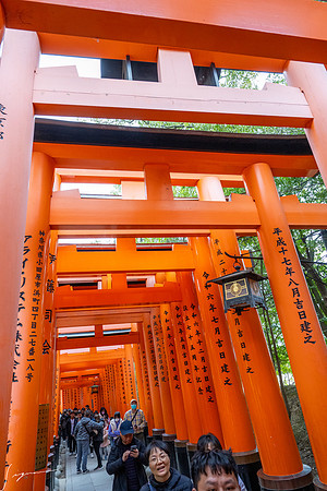 20250228OsakaJapan_0089