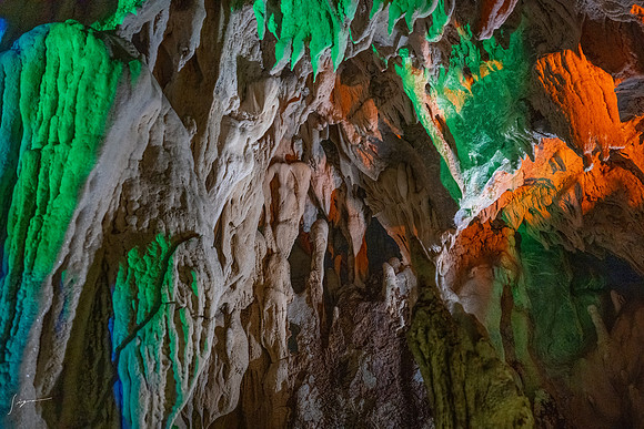 20240925Kochi_0272