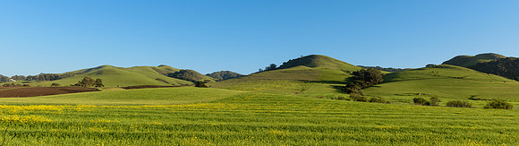 Los Osos CA