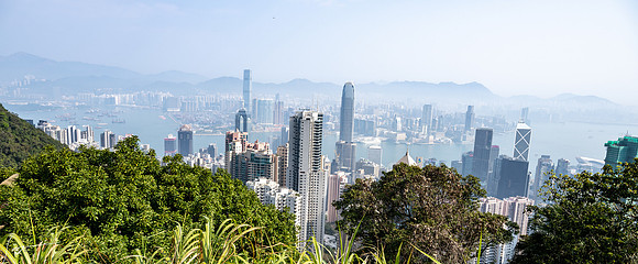 20250216HongKong_0133