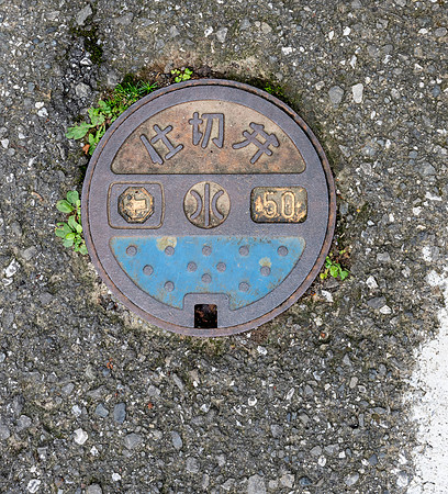 20240925Kochi_0006