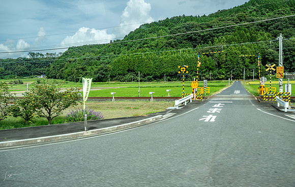 _Z8D4790_0430