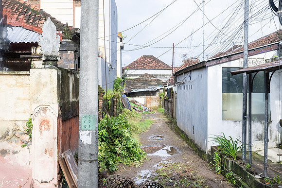 20250127BaliIndonesia_0409