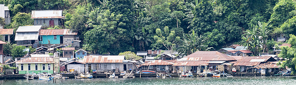 20250109Bitung,Sulawesi,Indonesia_0262