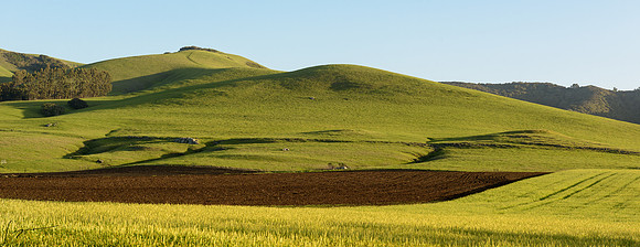 Los Osos CA