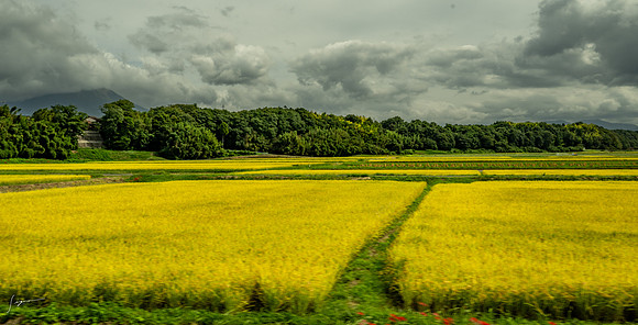 _Z8D4857_0497